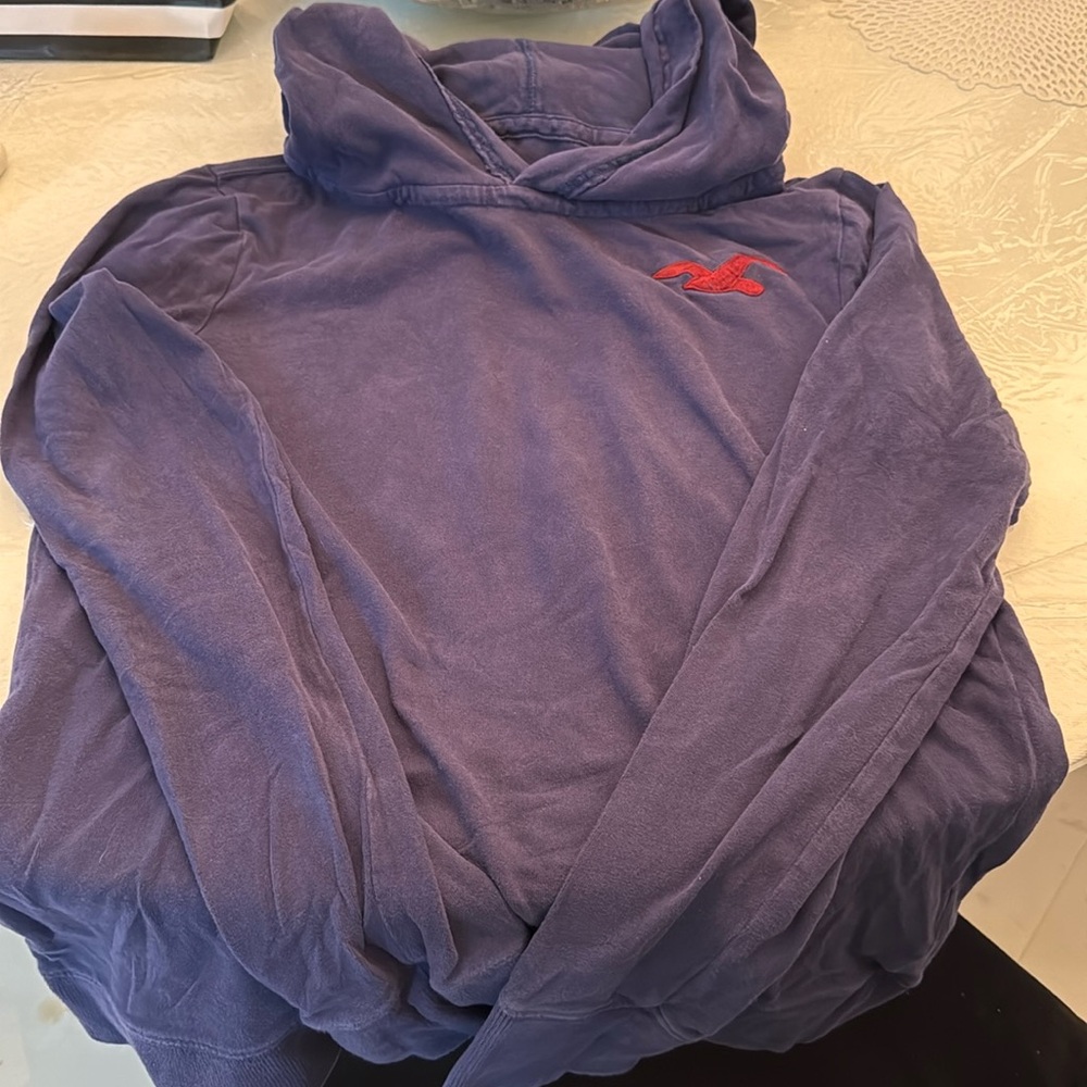 1 Hollister L/S with hood - Picture 1 of 3